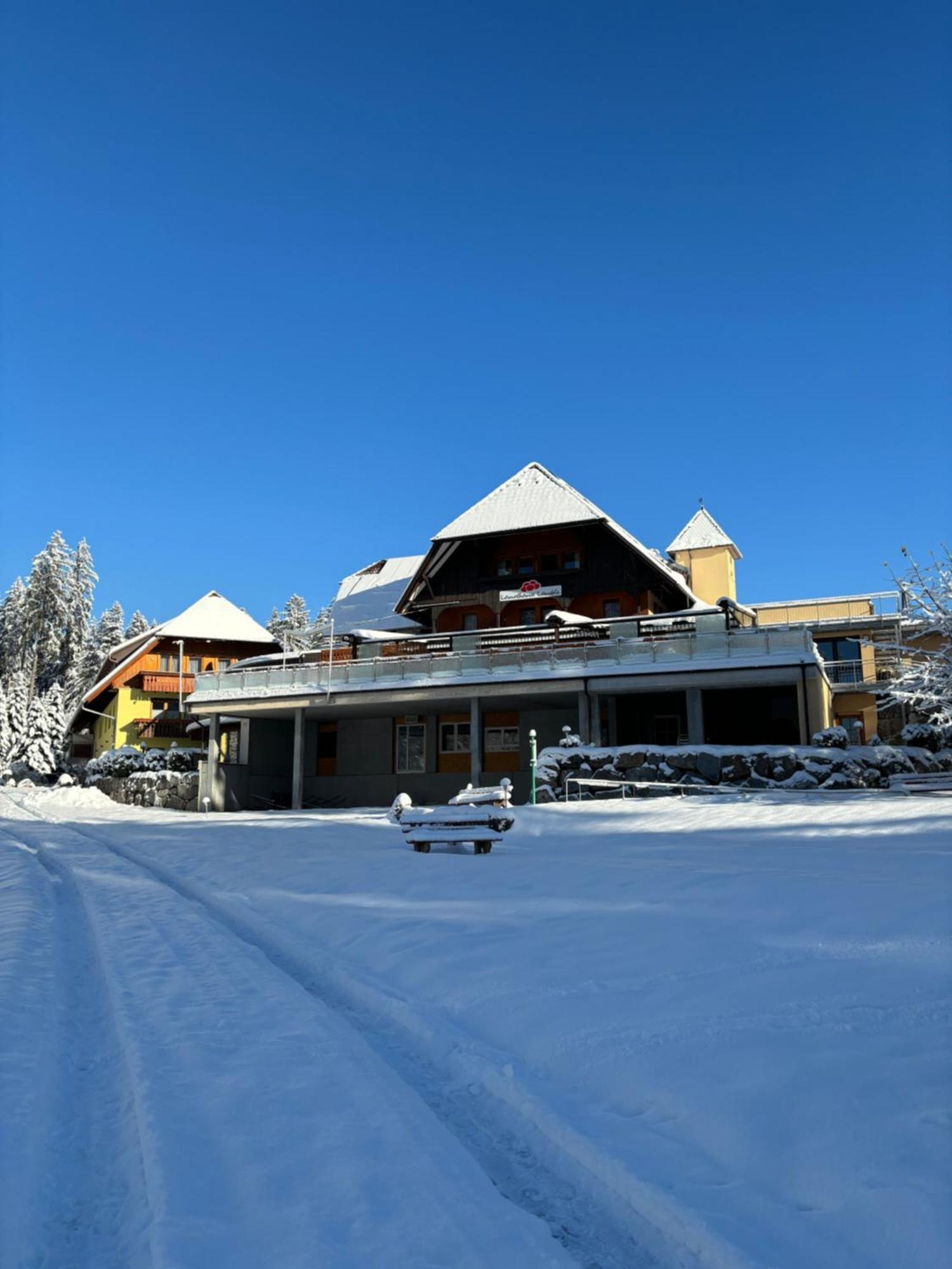 Landhaus Lauble Hornberg Esterno foto