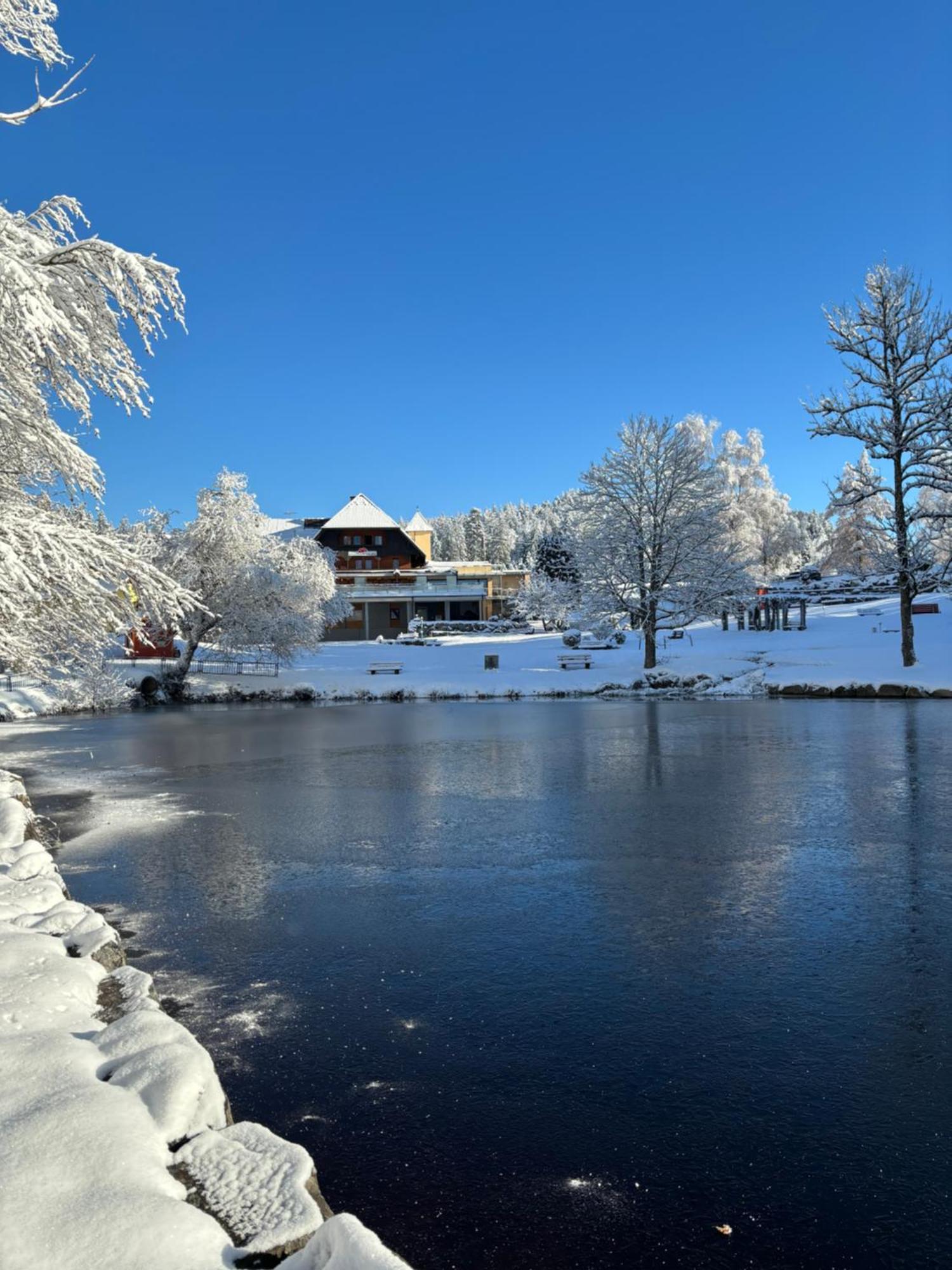 Landhaus Lauble Hornberg Esterno foto